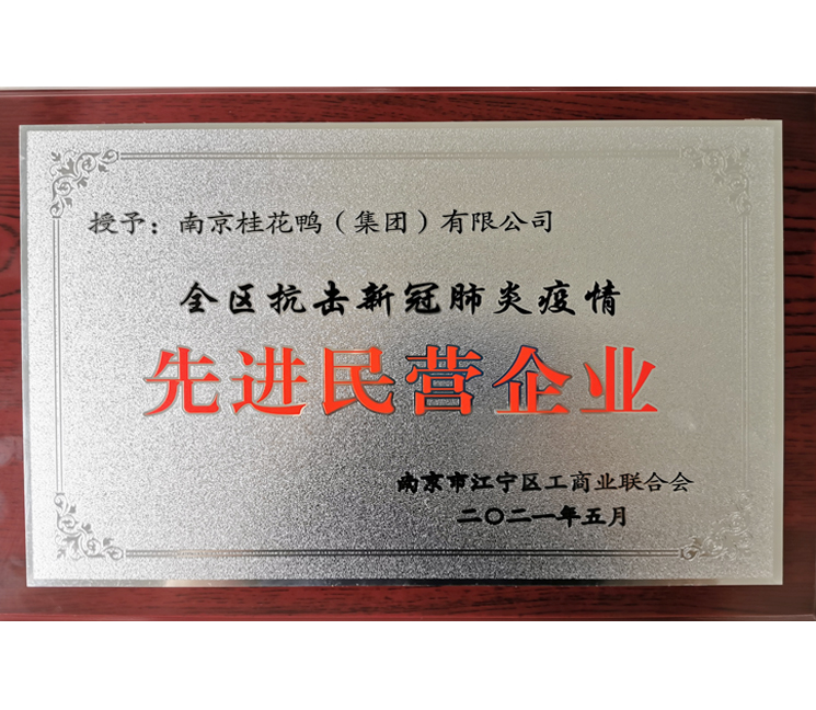 抗击疫情先进民营企业